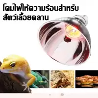โคมไฟ ขั้วเซรามิค สำหรับใส่หลอด UVA UVB โคมไฟเต่าบกและสัตว์เลื้อยคลาน ทนความร้อน5.5นิ้ว เต่า กิ้งก่า