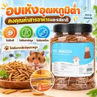 หนอนอาหาร หนอนอาหารแห้ง หนอนอบแห้ง หนอนนก อาหารหนูแฮมเตอร์ 1500ML หนูแฮมสเตอร์/นก
