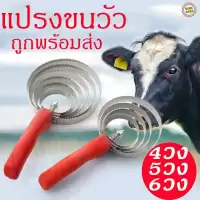 แปรงขนวัว แปรงเกาวัว เกาม้า เกาแพะ เกาสัตว์เลี้ยง ขนาด 4วง 5วง 6วง สแตนเลส ไม่เป็นสนิม ราคาถูกสุดในไทย