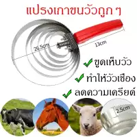 แปรงเกาวัว เกาม้า เกาแพะ เกาสัตว์เลี้ยง แปรงขนวัว แกะ ม้า สินค้ารับประกันคุณภาพ พร้อมส่งจากประเทศไทย