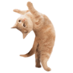 Auto post