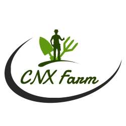 CNX FARM