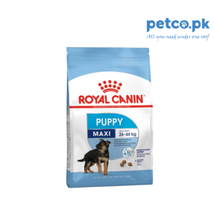 Royal Canin Puppy Maxi อาหารเม็ดลูกสุนัขพันธุ์ใหญ่