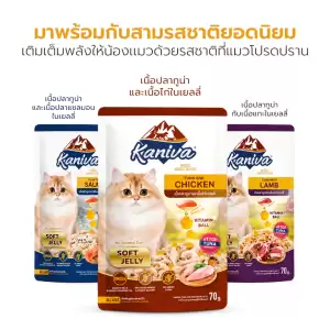 Kaniva อาหารแมวเปียก วิตามินบอล อาหารแมวคานิว่า แมวทุกวัย petus kingkaew