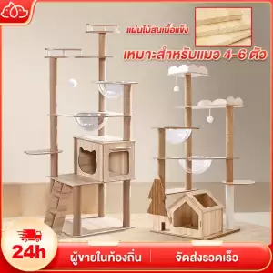 คอนโดแมว คอนโดแมวไม้ บ้านแมว 200CM เหมาะสำหรับเลี้ยงน้องแมว 4-6ตัว เสาลับเล็บ ขนาดใหญ่ สูง170CM