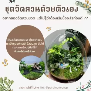 พร้อมส่ง ชุดจัดสวนขวดแก้ว Premium Diy Terrarium ของขวัญ​