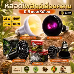 หลอดไฟให้ความร้อน UVA + UVBเสริมแคลเซียม หลอดไฟกกสัตว์ ให้ความอบอุ่นสัตว์เลี้ยง สัตว์เลื้อยคลาน เต่าบก กลางวัน กลางคืน