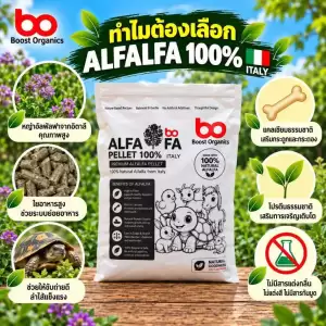 เกรดพรีเมี่ยม]อัลฟาฟ่าอัดเม็ด100% จากอิตาลี่ เหมาะกับเต่าบกและสัตว์กินพืช สัตว์ฟันแทะ Alfalfa Pellet