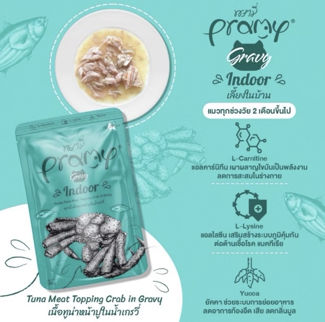 Pramy Gravy Indoor 70 g.