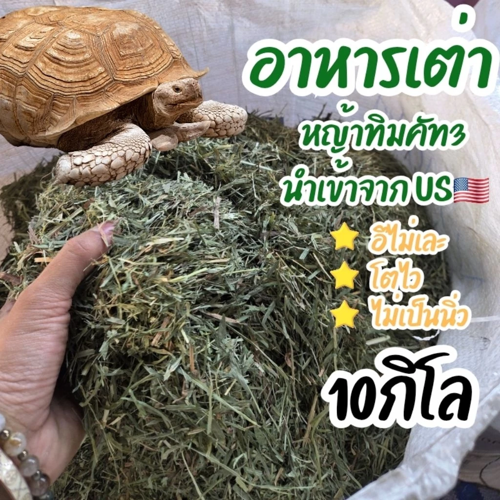 หญ้าทิโมธีป่น อาหารเต่า คุกกี้กระต่ายขายส่ง 10 กิโล