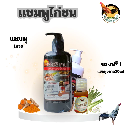 แชมพูอาบน้ำไก่ชน ทำความสะอาดไก่ชน อุปกรณ์ไก่ชน แชมพูสำหรับไก่ชน เฮอริเครนไก่ชน ซื้อแชมพู1ขวด แถมแชมพู30ml 1ขวด