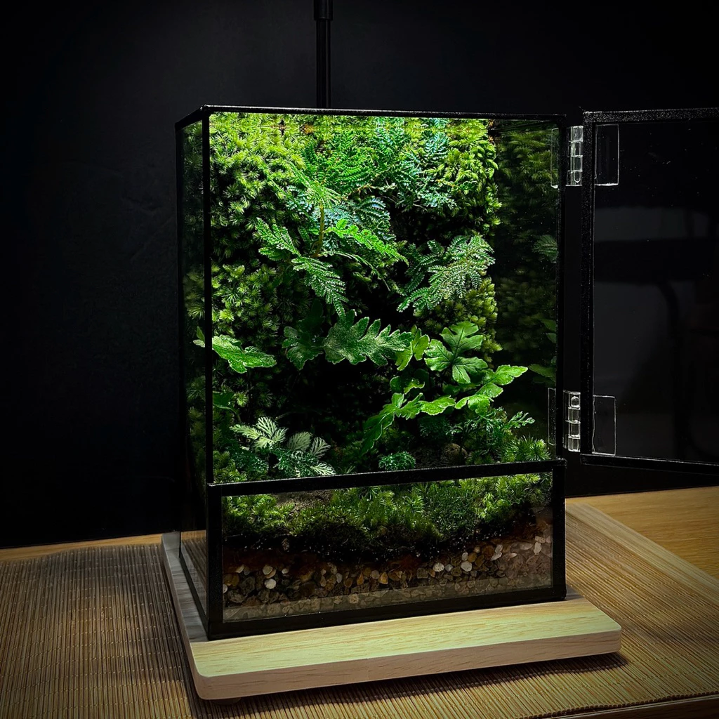 พร้อมส่ง สวนขวด Moss wall and Ferns Terrarium ระบบปิด ของขวัญ ของแต่งบ้าน