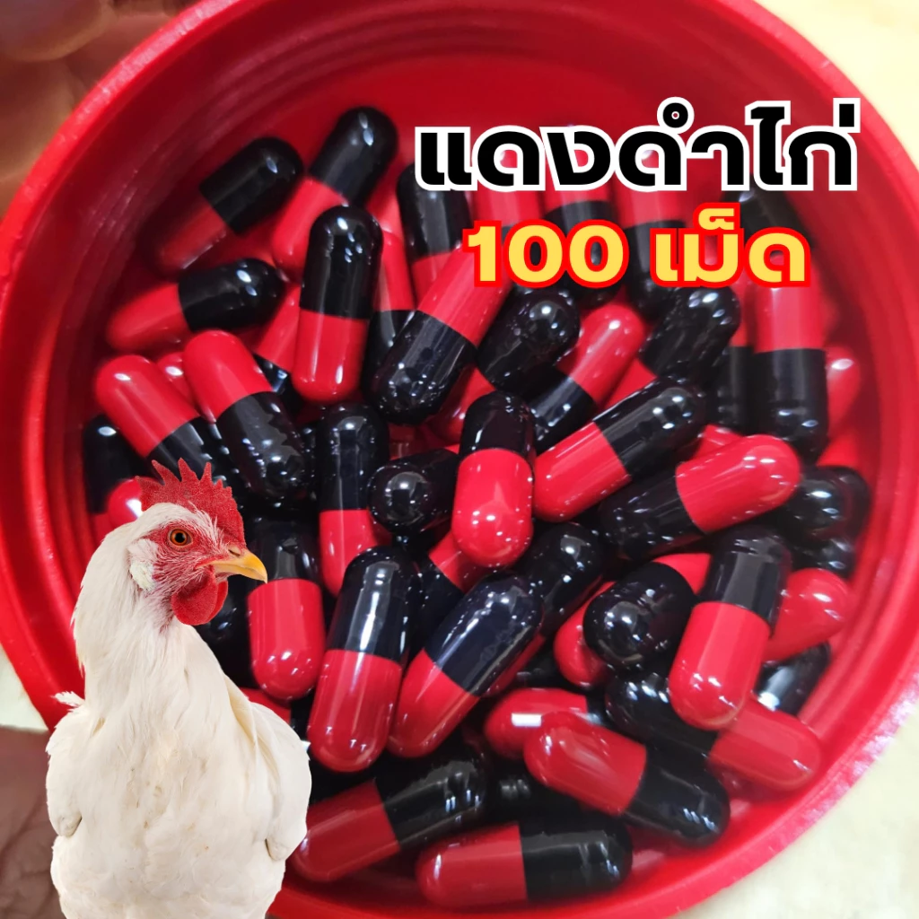 อาหารไก่ชน แดงดำไก่ 100 เม็ด หัวอาหารไก่ชน สำหรับไก่ชน