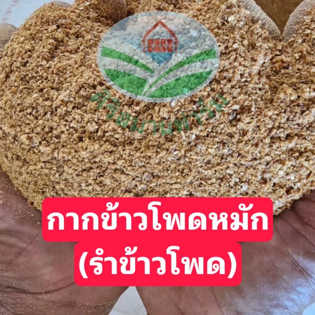 กากข้าวโพดหมัก รำข้าวโพดเกรดอาหารสัตว์ หมู ไก่ เป็ด ปลา วัว แพะ แกะโปรตีนสูง ย่อยง่าย สัตว์โตไว ขนาด 0.5,1,2,5 กิโลกรัม