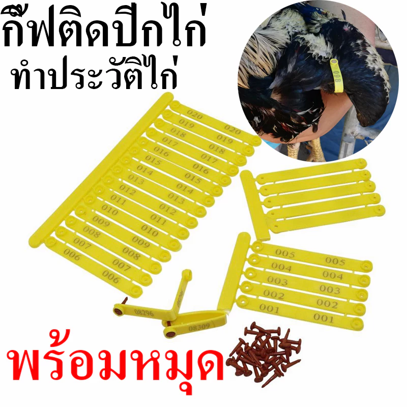 กิ๊ฟติดปีกไก่ชน กิ๊ฟปีกไก่ กิ๊ฟปีกไก่ชน กิฟปีกไก่ชนแบบพลาสติก ทำประวัติไก่ เลข001-045/เลข046-090
