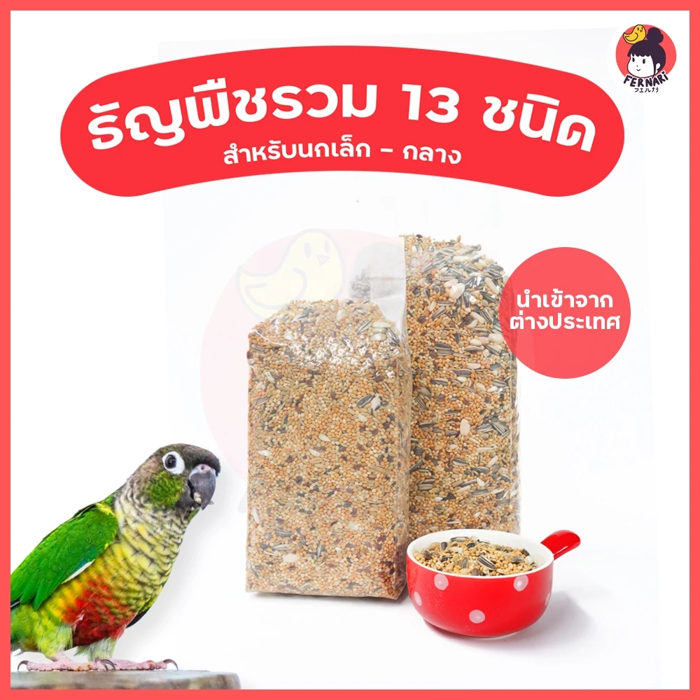 ธัญพืชรวม 13 ชนิด อาหารนกแก้ว อาหารนกธัญพืช ปริมาณ 500 gอาหารนก อาหารนกและอาหารเสริม นกแก้ว สัตว์