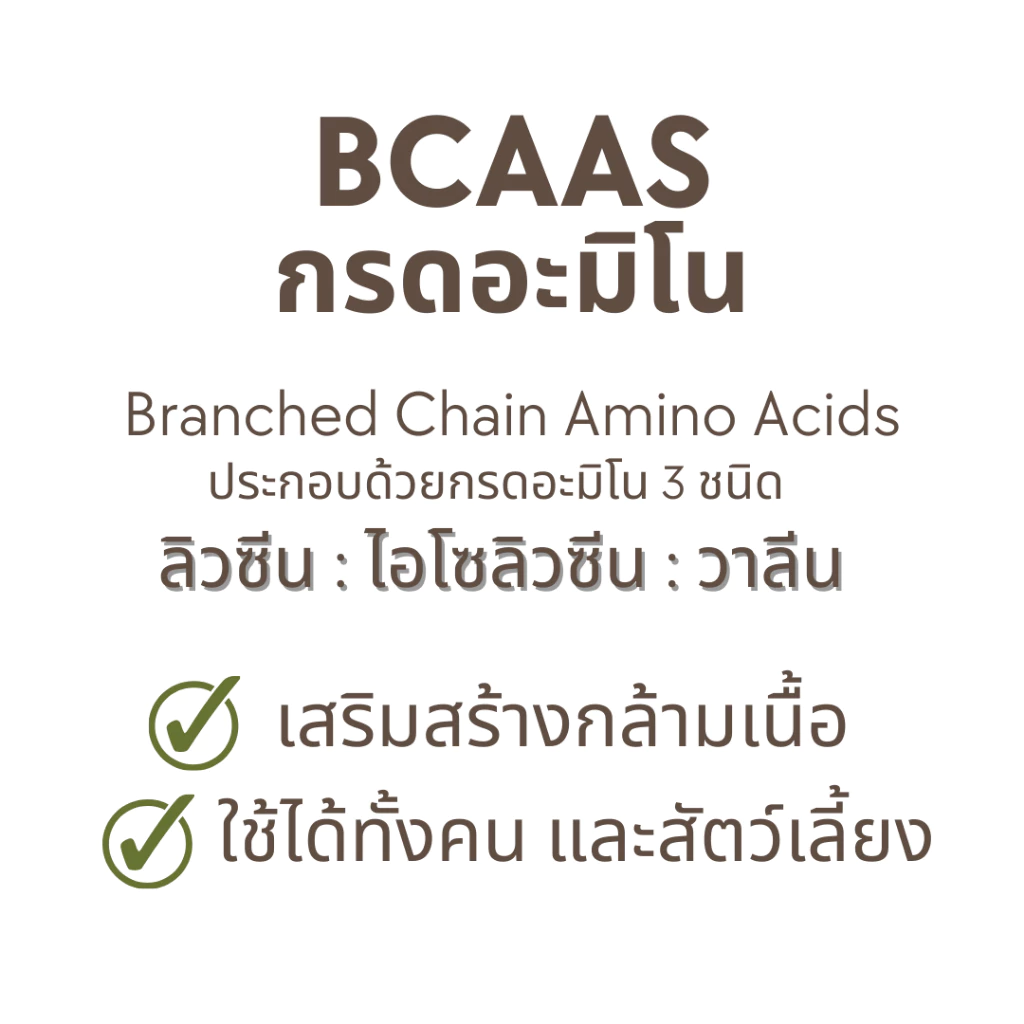 (ชนิดผง) โปรตีนไก่ชนผสม BCAAs เสริมชุดเลี้ยงไก่ชนและบำรุงไก่ชนอย่างมีคุณภาพ
