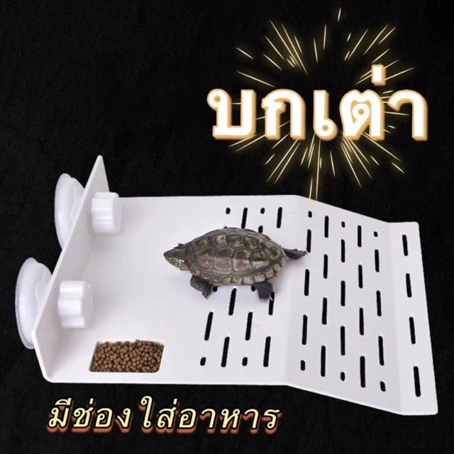  บกเต่า แพลตฟอร์มยืนตากแดดสำหรับเลี้ยงเต่า เต่าญี่ปุ่น มีที่ใส่อาหาร