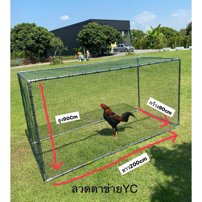 กรงไก่ กรงขนาดใหญ่ กรงเลี้ยงสัตว์ กรงแมว กรงหมา กรงเต่า กรงนก กรงกระต่าย กรงไก่ชน กรง กรงเหล็ก กรงไก่ไข่ เพาะชำ