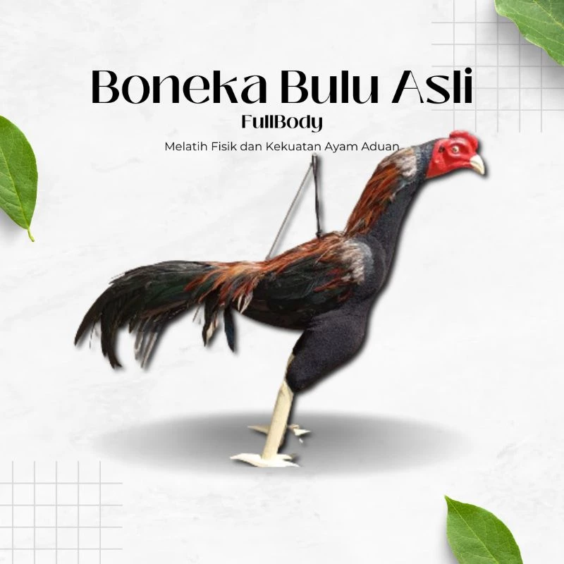 FULBODY ไก่ชน ตุ๊กตารถไฟไก่ชน เครื่องมือสําหรับฝึกซ้อมไก่ชน