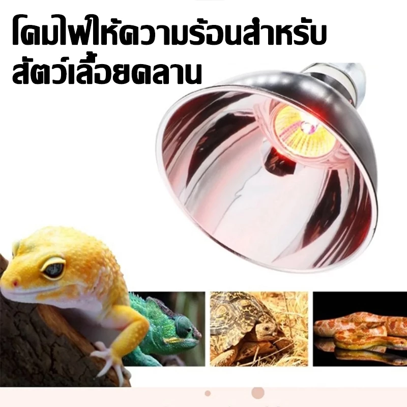 โคมไฟ ขั้วเซรามิค สำหรับใส่หลอด UVA UVB โคมไฟเต่าบกและสัตว์เลื้อยคลาน ทนความร้อน5.5นิ้ว เต่า กิ้งก่า