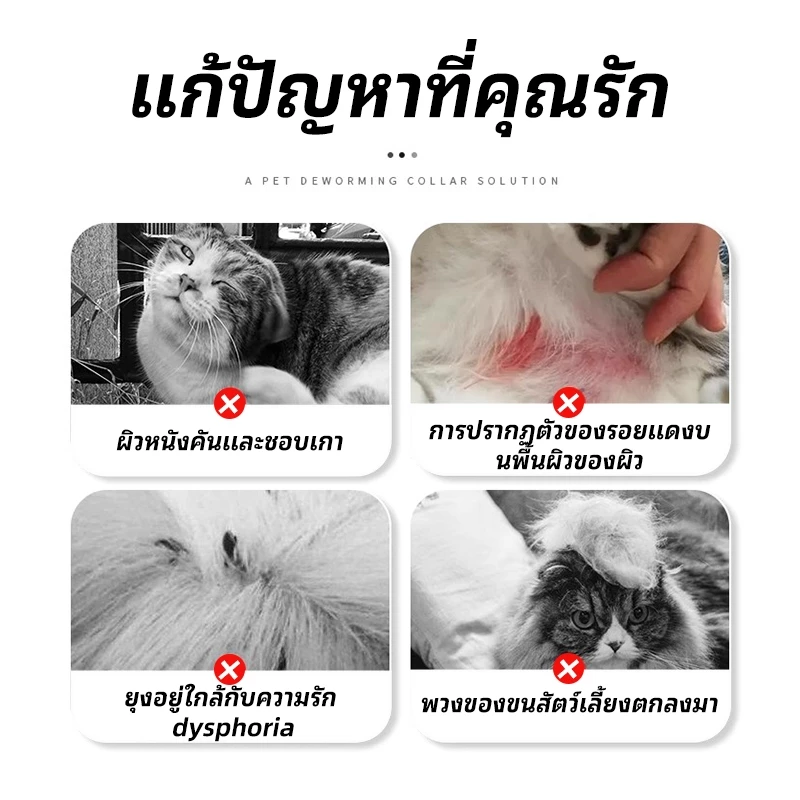 P&P:ปลอกคอกันเห็บหมัด ปลอกคอแมว สร้อยคอกระดิ่งแมวแฟชั่น ปลอกคอป้องกันเห็บหมัด ภาพที่ 5