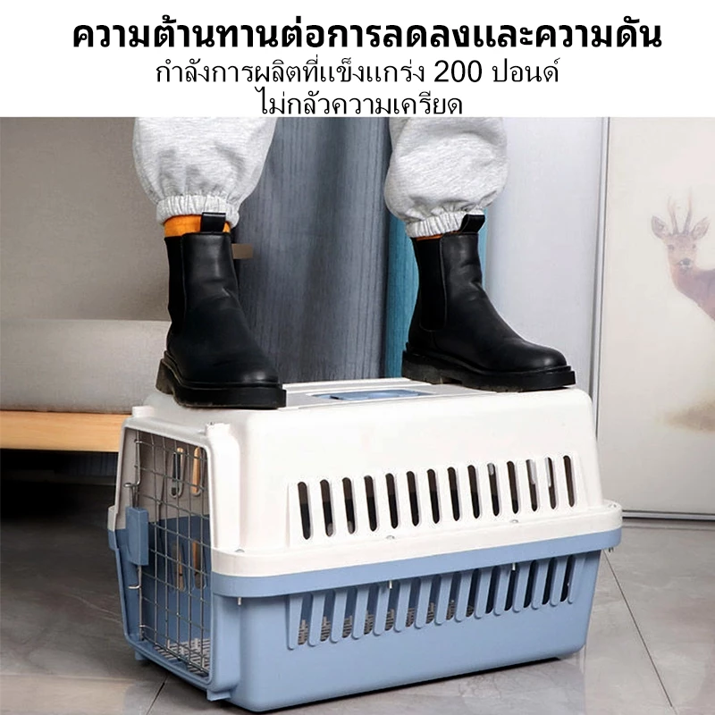 P&P:ตะกร้าแมว กรงพกพา กล่องเดินทางสัตว์เลี้ยง สำหรับสุนัขและแมว ล็อกพกพาง่าย ราคาถูก (ไม่รวมแผ่นฐาน)มอบขนมแมวเป็นของขวัญ ภาพที่ 3