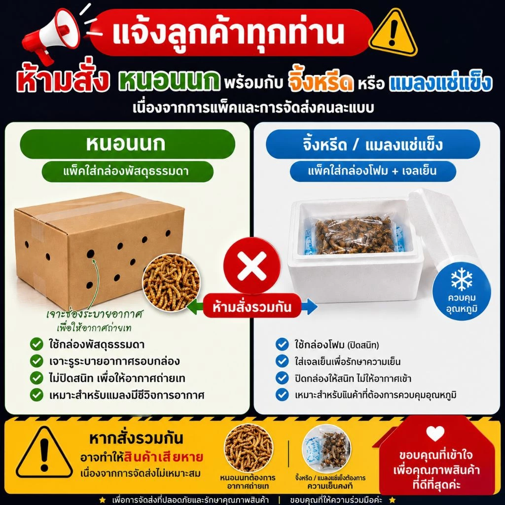 [สด-ส่งเร็ว] หนอนนกสด หนอนนกไม่อบแห้ง อาหารสัตว์เลี้ยง นก ปลา กิ้งก่า เม่นแคระ ภาพที่ 3