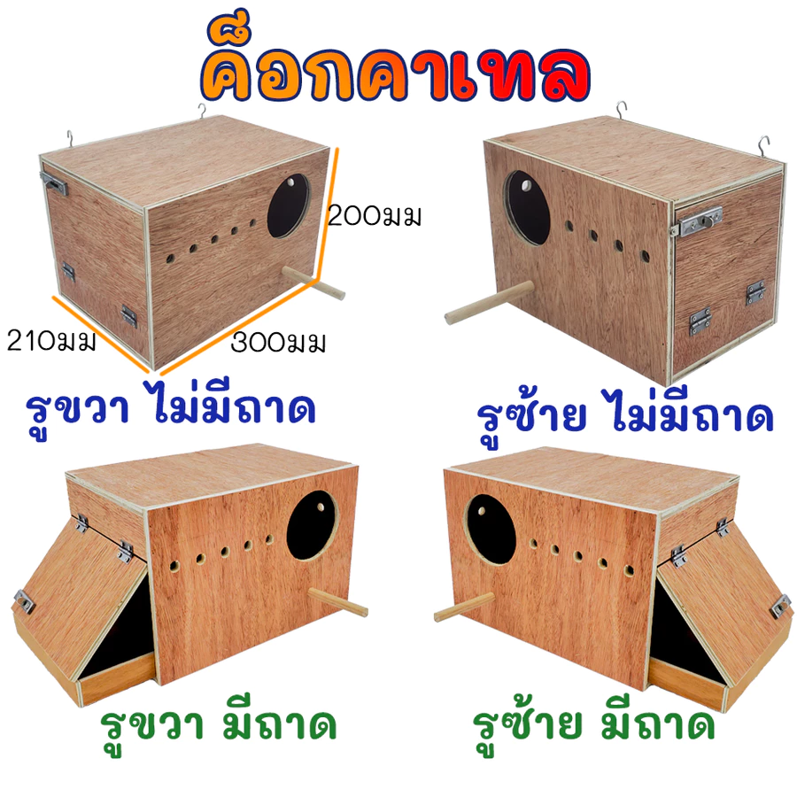 รังเพาะนก รังไข่นก กล่องเพาะนก บ้านนก รังเพาะนก ฟินซ์ เลิฟเบิร์ด กรีนชีค ฟอพัส หงส์หยก นกแก้ว ชูก้า ภาพที่ 4