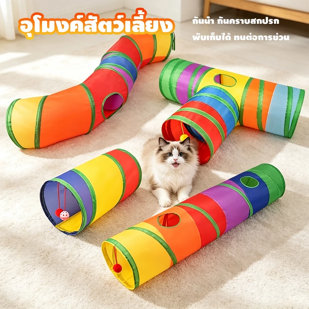 ภาพที่ 5