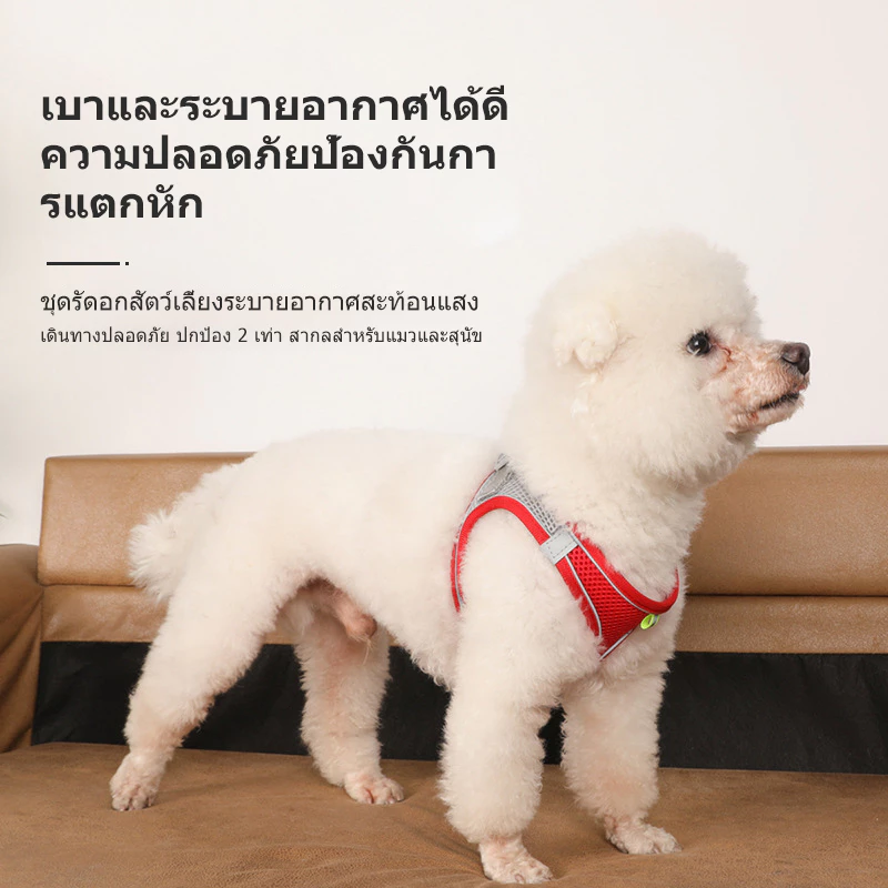 เสื้อรัดอกสุนัข เสื้อรัดอกแมว สายรัดอก สัตว์เลี้ยง พร้อมสายจูง สะท้อนแสง สวมใส่ง่าย มีหลายสี พร้อมส่ง ภาพที่ 3
