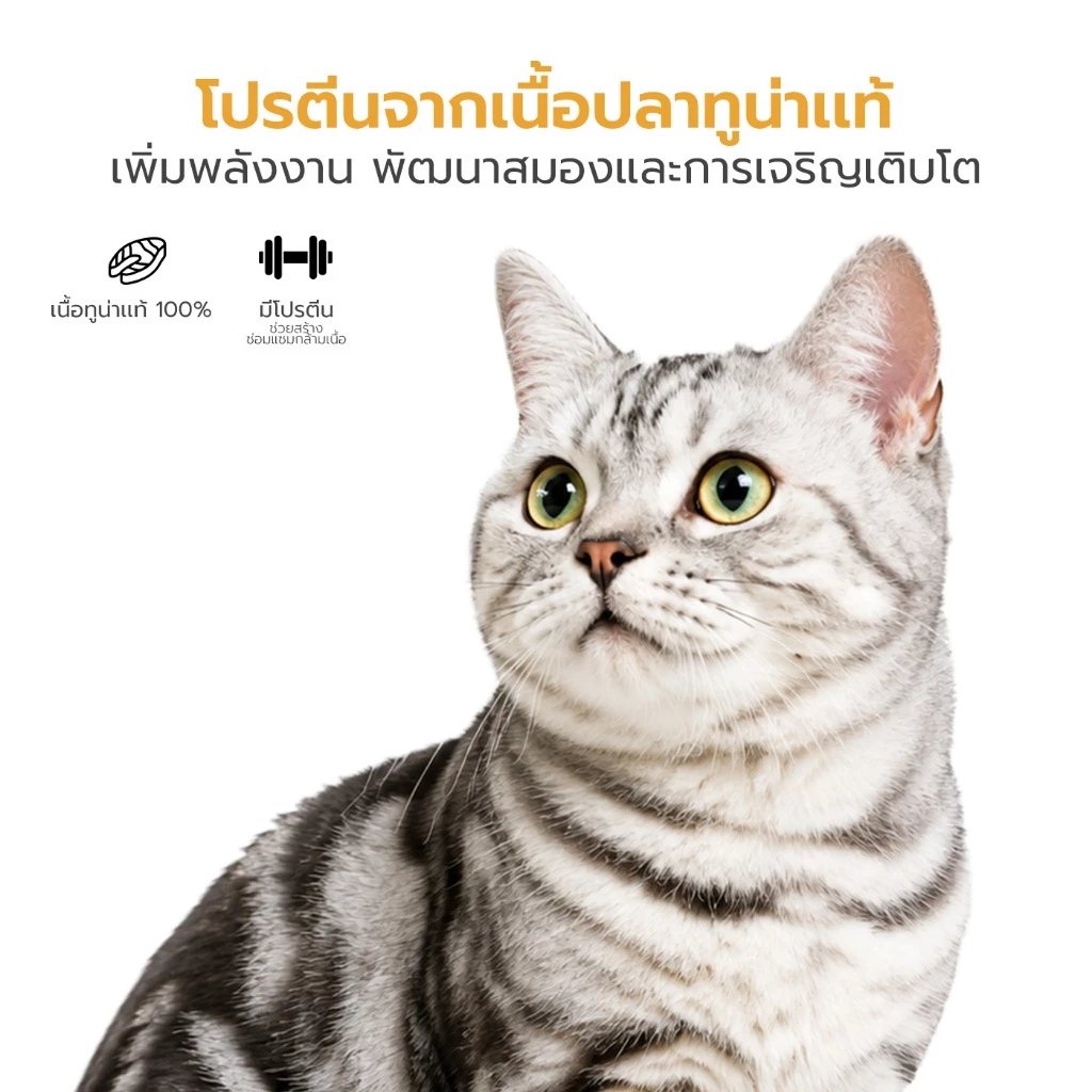Nekko Pouch เน็กโกะ อาหารเปียกแมวโตเนื้อเจลลี่ 70 กรัม แบบซอง 1 โหล / 4 โหล Petus Kingkaew ภาพที่ 5