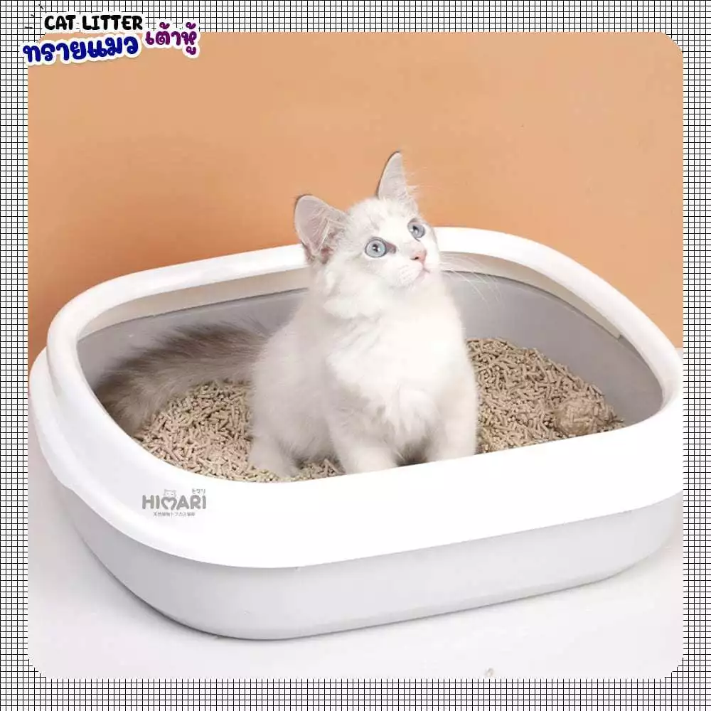 ทรายแมวเต้าหู้ 6L.ทรายเต้าหู้ NO.KT03 ผลิตจากกากถั่วเหลืองธรรมชาติทรายแมว ทรายแมว ทรายแมวส่งฟรี Cat Litter ภาพที่ 4
