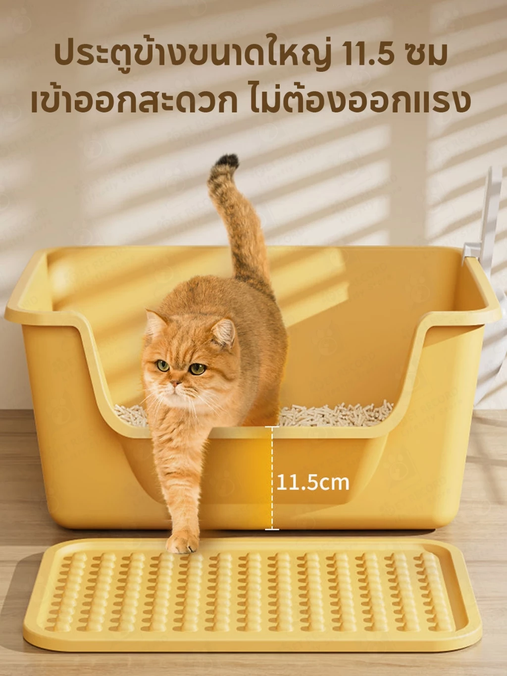 【PET RECORD】กระบะทรายแมวขนาดใหญ่ ขอบสูง ป้องกันทรายกระเด็น ห้องน้ำแมวฝาปิดถอดล้างง่าย แข็งแรง ทนทาน ภาพที่ 4