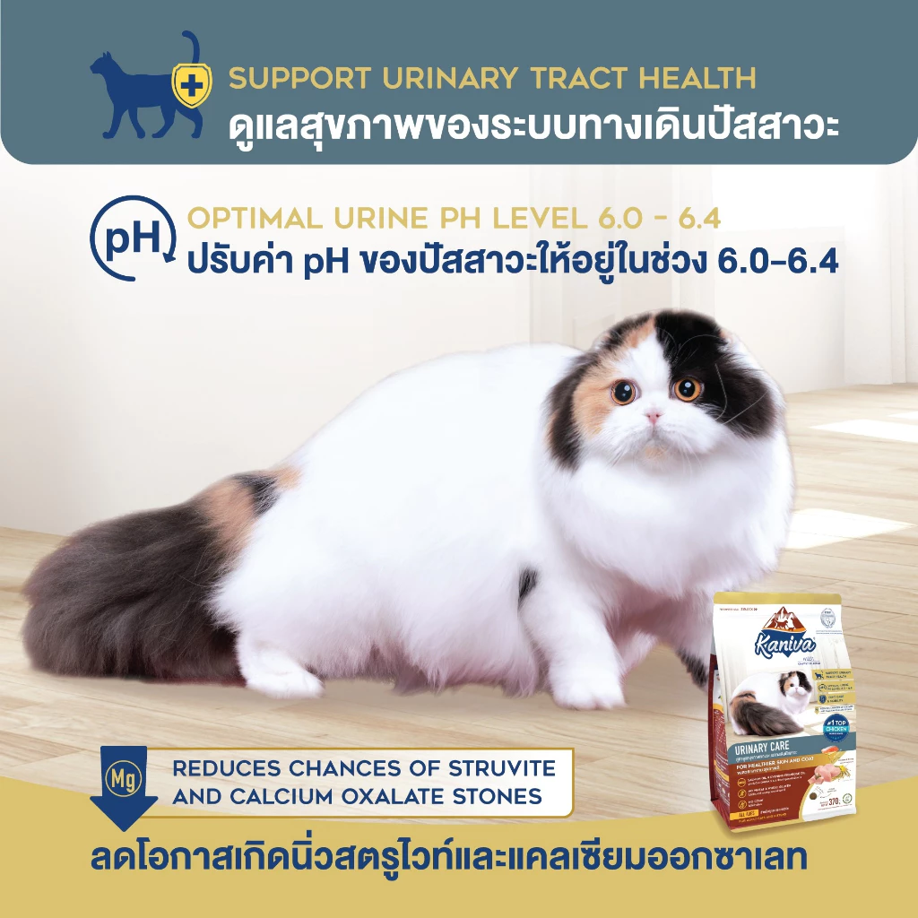 Kaniva Urinary Care อาหารแมว ดูแลทางเดินปัสสาวะ แมว 4 เดือนขึ้นไป Petus Kingkaew ภาพที่ 5