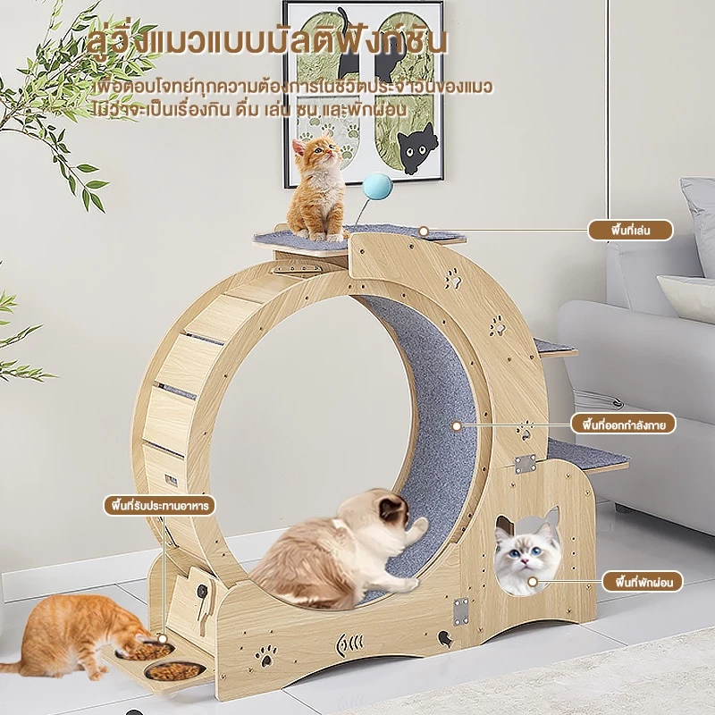 L&Q ลู่วิ่งแมว Cat toy วิ่งแมวไม้ วิ่งแมวอเนกประสงค์ ออกกำลังกายแมว ออกกำลังกาย เหมาะสำหรับแมวหลายตัว 5in1 ของเล่นแมว ภาพที่ 2