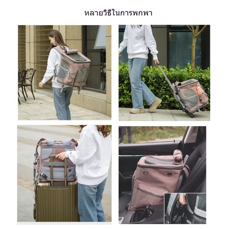 จัดส่งจากท้องถิ่น ภาพที่ 2
