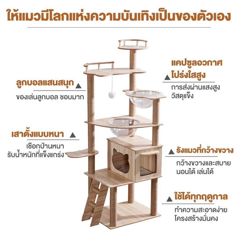 คอนโดแมว ไม้แมวคอนโดแมว บ้านแมว รวมถึงแคปซูลอวกาศโปร่งใสเหมาะสำหรับเลี้ยงน้องแมว 3-5ตัว เสาลับเล็บ ขนาดใหญ่ สูง170CM ภาพที่ 3