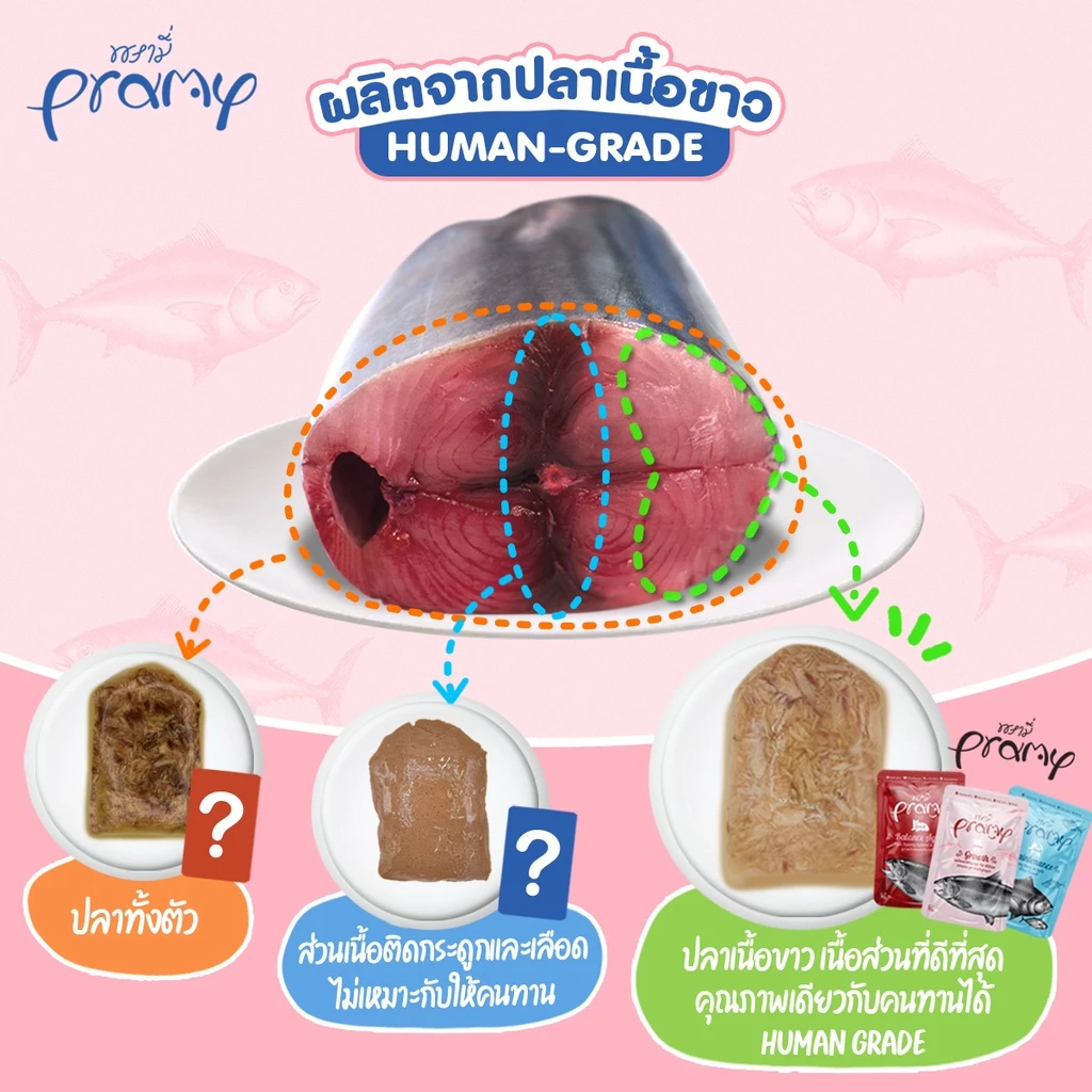 [12ซอง] Pramy อาหารเปียกแมว อาหารลูกแมว อาหารแมวโต อาหารแมวสูงวัย สูตรใหม่ ขนาด 70g ภาพที่ 4