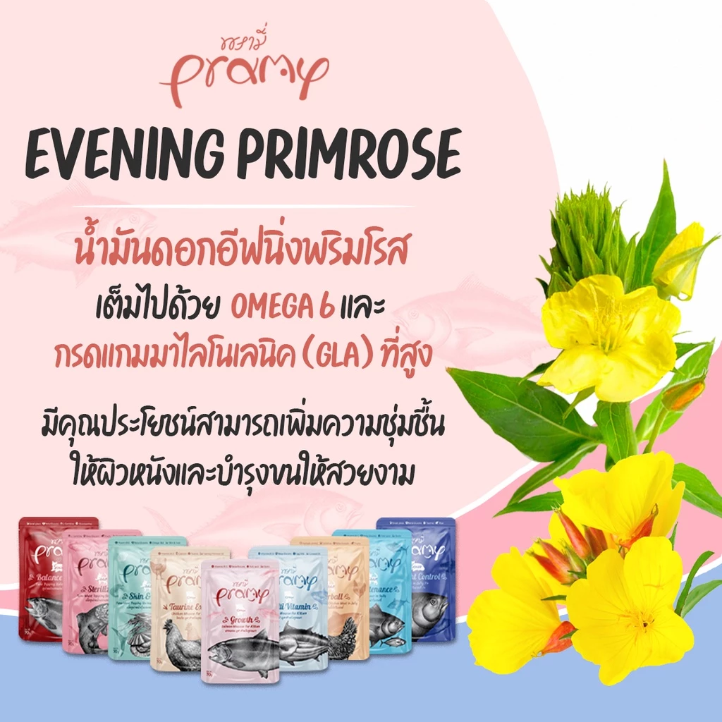 [12ซอง] Pramy อาหารเปียกแมว อาหารลูกแมว อาหารแมวโต อาหารแมวสูงวัย สูตรใหม่ ขนาด 70g ภาพที่ 5