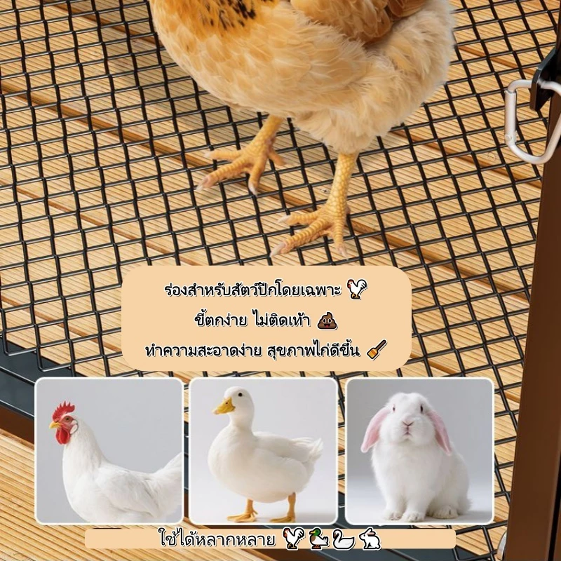 กรงไก่พร้อมประตูให้อาหาร ประกอบง่าย พับเก็บได้ ปลอดภัยสำหรับไก่หลายตัว ภาพที่ 2