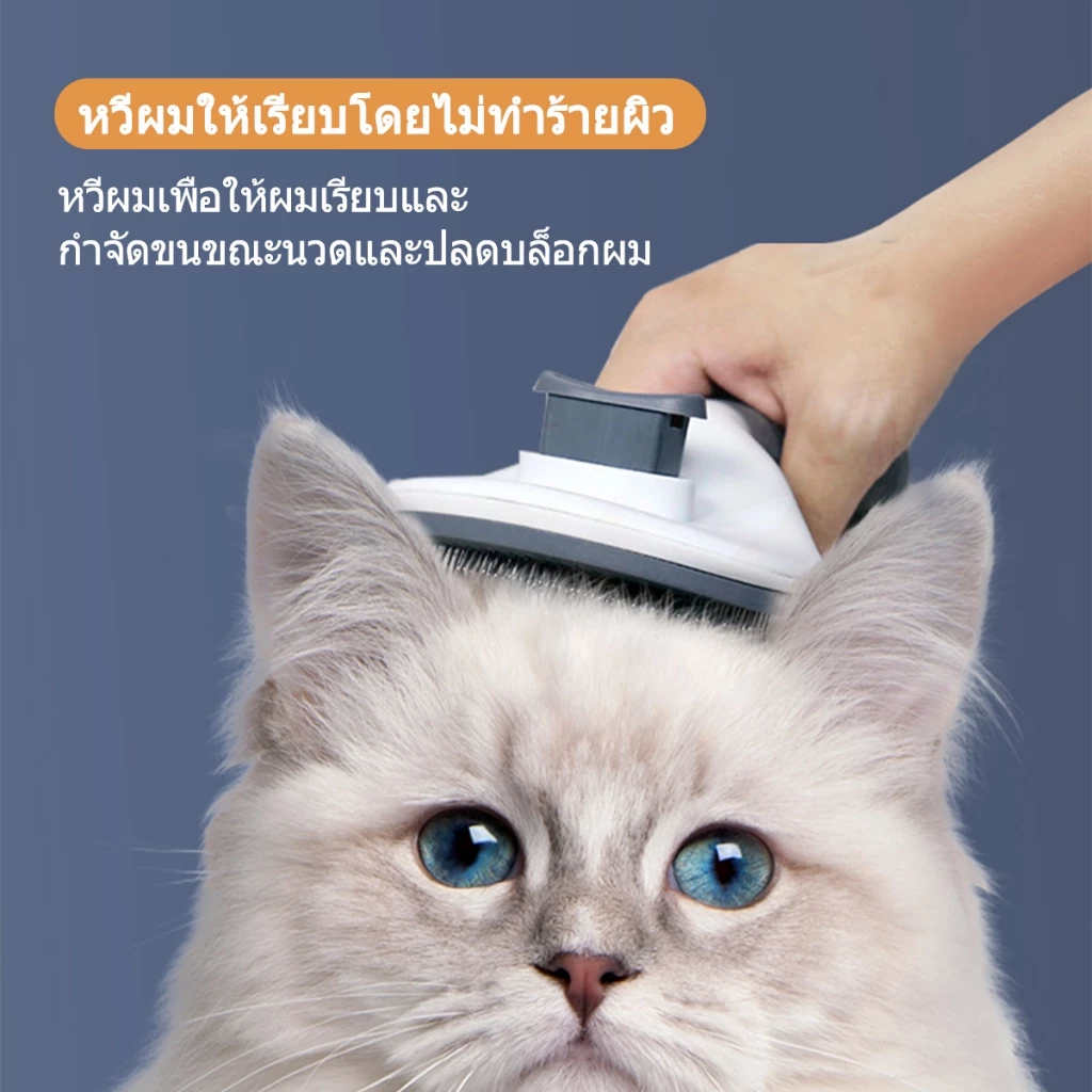 หวีขนแมว แปรงขนแมว หวีแมว แปรงขนสุนัข แปลงขนแมว หวีขนสุนัข ที่หวีขนแมว กําจัดขนแมว มีปุ่มดันขนออก ภาพที่ 3