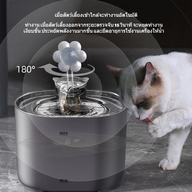 จัดส่งจากท้องถิ่น ภาพที่ 4