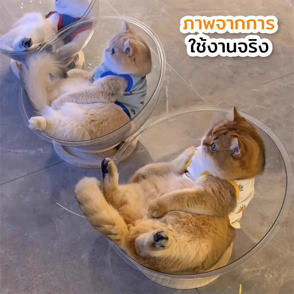 บ้านแมวที่นอนแมว แคปซูลที่นอนแมว อะคริลิค พร้อมรางบอลแบบรางไม้ หมุนได้ 360 องศา ภาพที่ 2