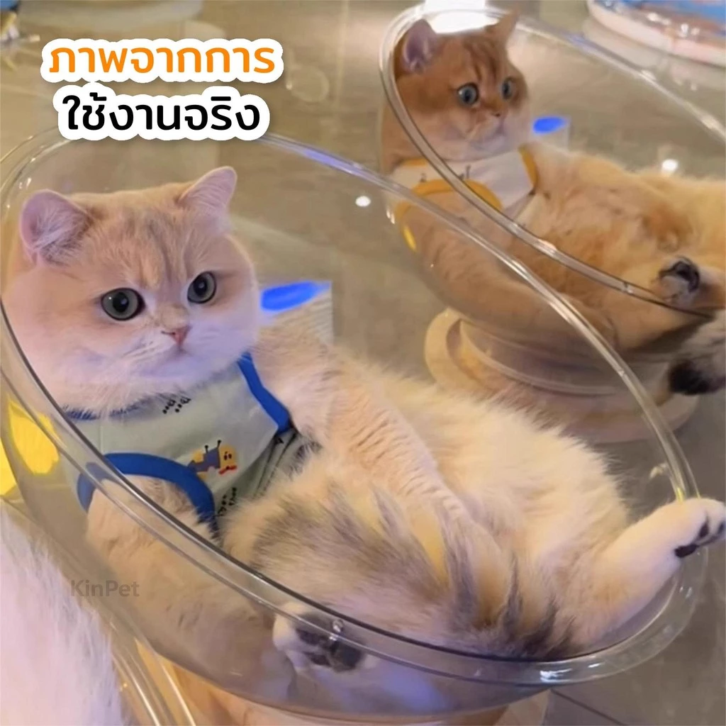 บ้านแมวที่นอนแมว แคปซูลที่นอนแมว อะคริลิค พร้อมรางบอลแบบรางไม้ หมุนได้ 360 องศา ภาพที่ 3