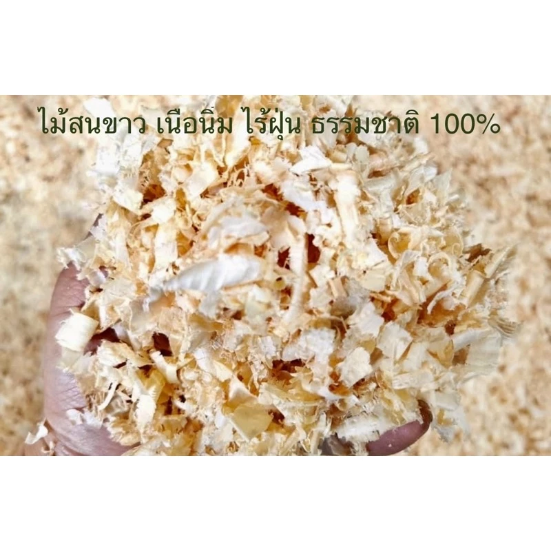 ขี้เลื่อยแฮมสเตอร์ TOOMY 500g ปูกรงสัตว์เลี้ยง ไม้สนธรรมชาติ ไร้ฝุ่น เนื้อนิ่ม รองกรงหนู กระต่าย ภาพที่ 5