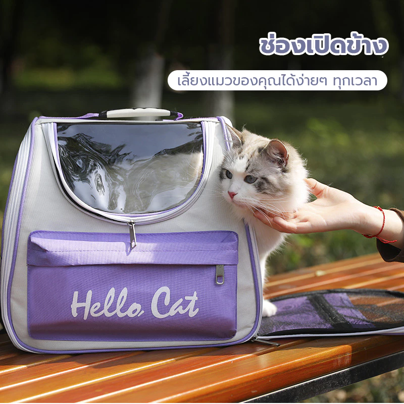กระเป๋าถือสัตว์เลี้ยง เป้สะพายหลังสัตว์เลี้ยง กระเป๋าแมวแบบพกพาสำหรับการออกไปข้างนอก ความจุขนาดใหญ่และระบายอากาศ ภาพที่ 4
