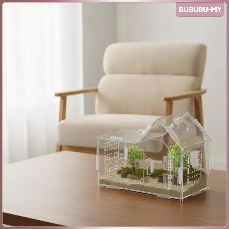 [BubuMY] Terrarium อะคริลิคระบายอากาศพร้อมสลักถังใส Terrarium ถังใสขนาดเล็กสําหรับช่างงานอดิเรก,โต๊ะ ภาพที่ 4