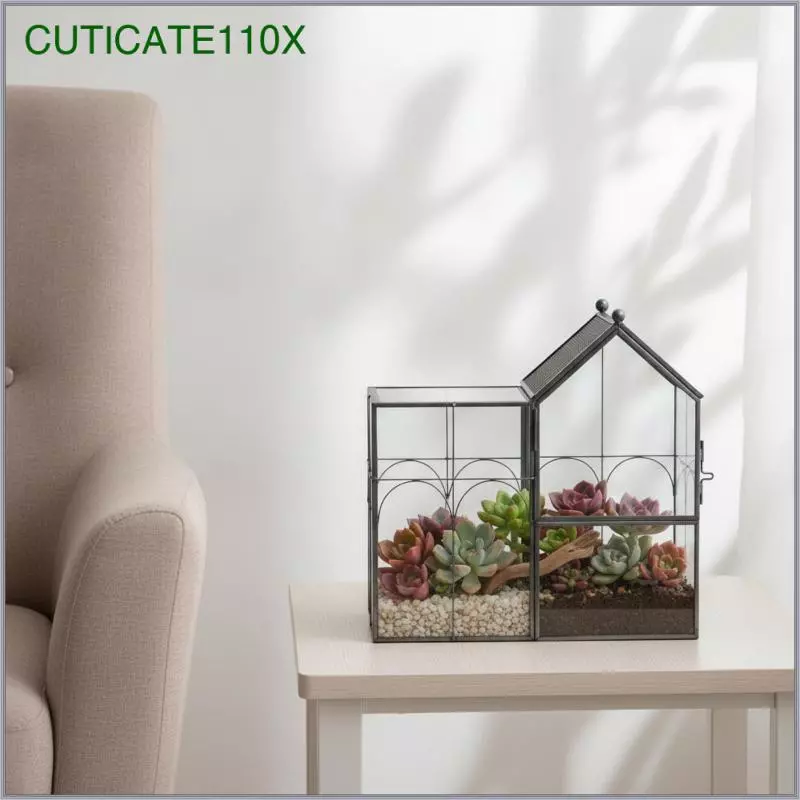 [cuticate110x] ในร่มแก้ว Terrarium ที่มีกรอบโลหะตกแต่ง House Terrarium ที่มีบานพับประตูเรขาคณิตโต๊ะชาวไร่หรูหราสําหรับคนรักพืช ภาพที่ 3