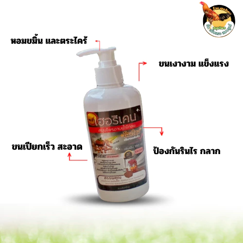 แชมพูอาบน้ำไก่ชน ทำความสะอาดไก่ชน อุปกรณ์ไก่ชน แชมพูสำหรับไก่ชน เฮอริเครนไก่ชน ซื้อแชมพู1ขวด แถมแชมพู30ml 1ขวด ภาพที่ 4